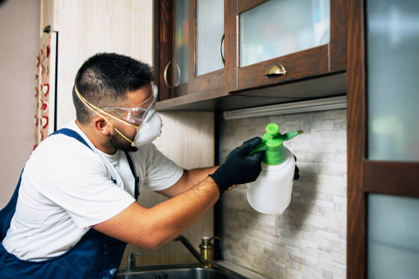 Best Affordable Pest Control Services  in Rochester, MN