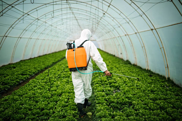 Best Pest Control Near Me in Rochester, MN