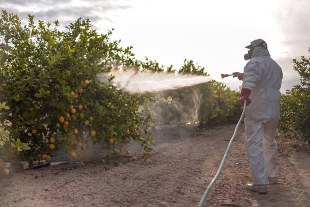 Best Best Pest Control Companies  in Rochester, MN