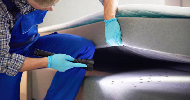 Trusted Rochester, MN Pest Control Experts