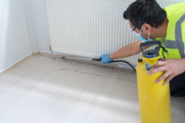 Best Residential Pest Control  in Rochester, MN