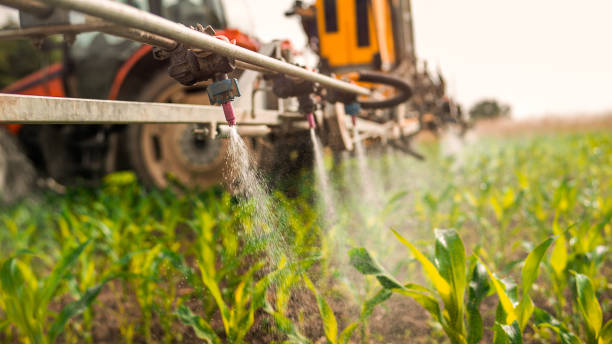 Best Commercial Pest Control Services  in Rochester, MN